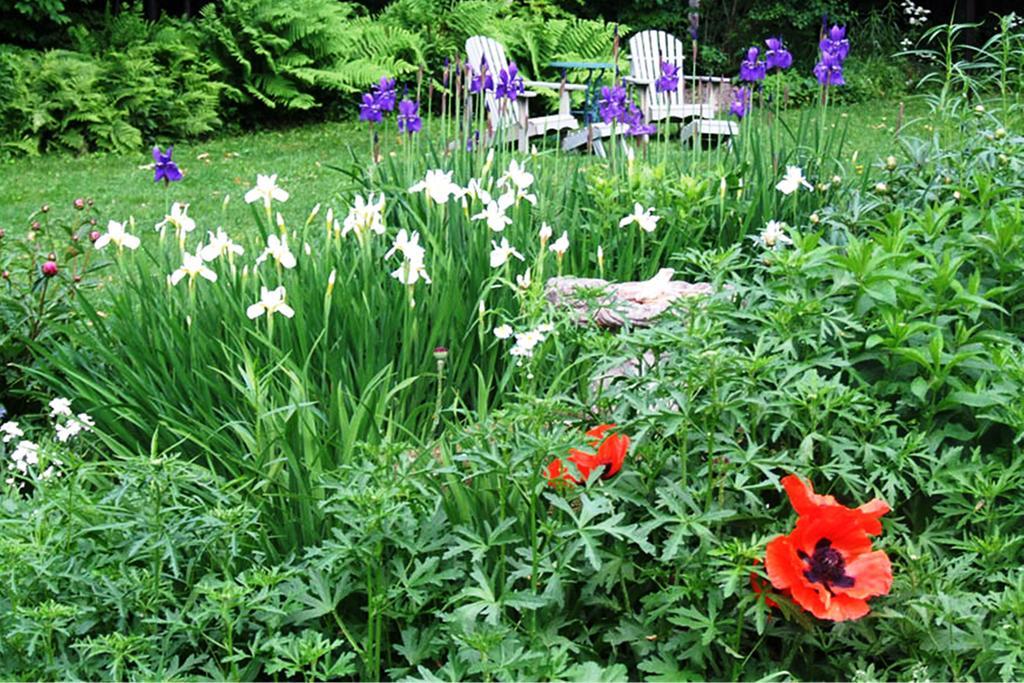 B&B Hillhouse Lac-Brome Eksteriør billede